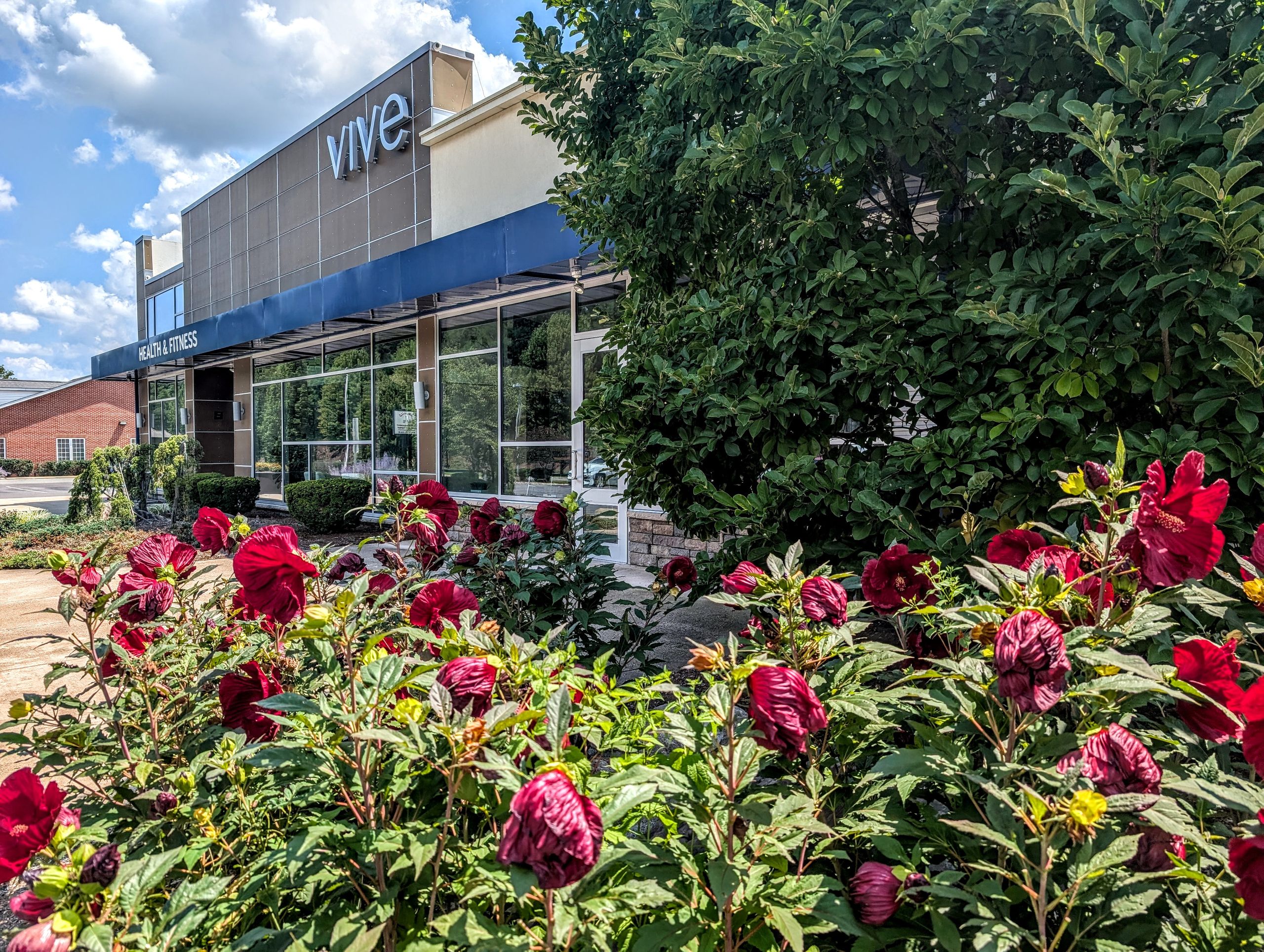 VIVE Health & Fitness building exterior in summer, Kingston, PA